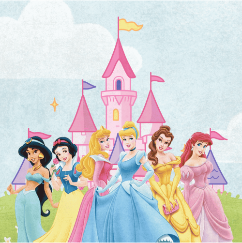 PRINCESS CUSTOMISED