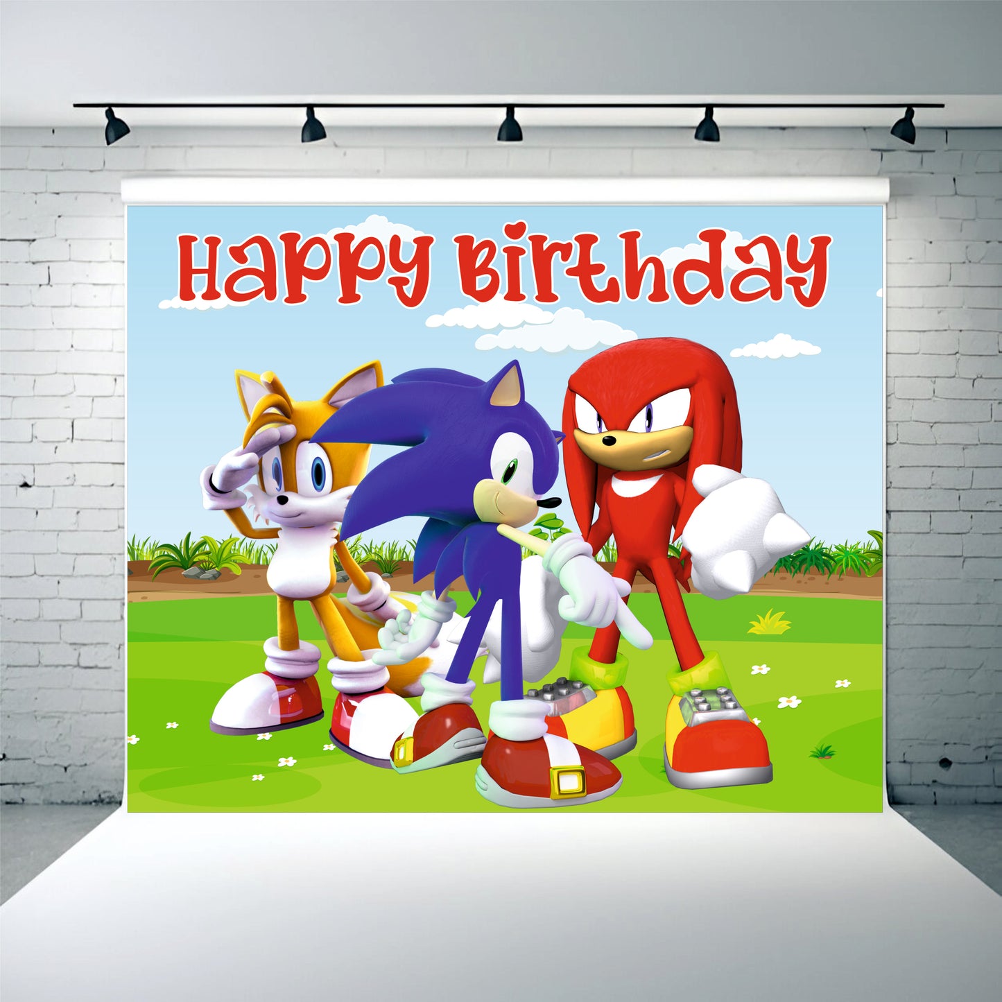 Sonic Theme Birthday Party Decoration | Speed Adventure Celebration Setup