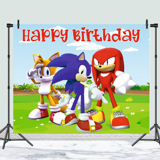 Sonic Theme Birthday Party Decoration | Speed Adventure Celebration Setup